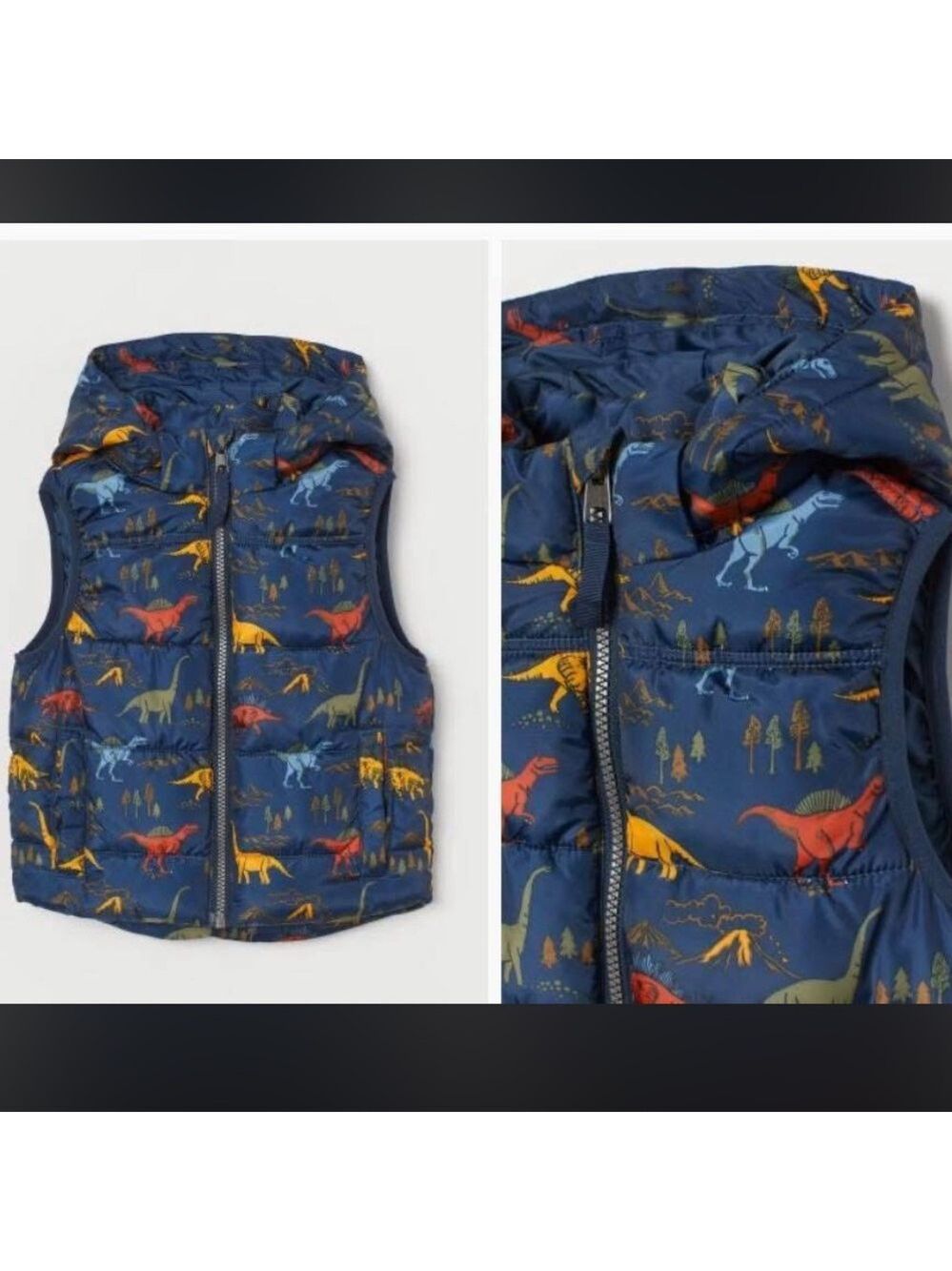 H&M Kids Dinosaur Print Vest - Blue and Multicolor